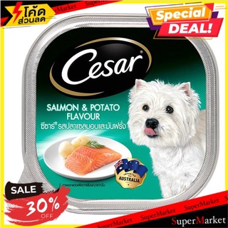 🔥ยอดนิยม!! ซีซาร์ ฟิช อาหารสุนัข ปลาแซลมอนพร้อมมันฝรั่ง 100กรัม Cesar Fish Salmon with Potato Dog Food 100g