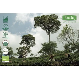 ชาระมิงค์ ผงชงชาเขียวนม กรีนทีลาเต้ 1Kg ชงได้ 200แก้ว Raming Green Tea Mix ชาเขียวปรุงสำเร็จ 1,000g.