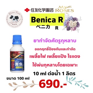 BenicaR กำจัดแมลงศัตรูกุหลาบ