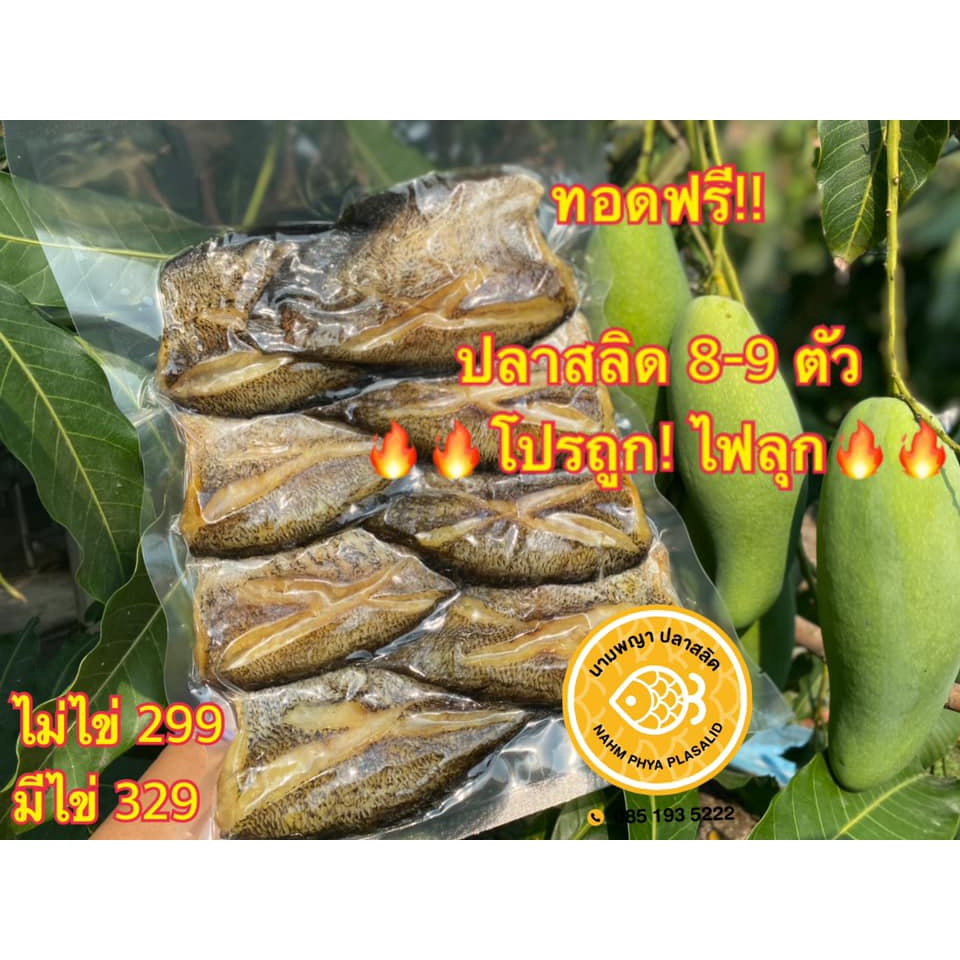 ปลาสลิด Size 8-9 ตัวโล โปรถูกไฟลุก!! (มีให้เลือกทั้งแบบมีไข่แน่น มันจุก)
