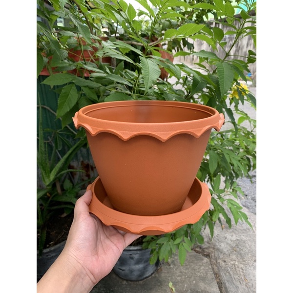 กระถาง 8 นิ้ว สีอิฐ พร้อมจานรอง