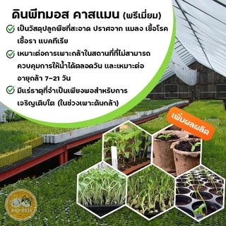 พีทมอสคาสแมนเพาะกล้า ดินเพาะปลูกคุณภาพสูง เก็บกักน้ำ ลดการอัด ปรับค่าPHความสมดุลในดิน ส่งเสริมการโต