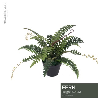 Fern 50CM - เฟิร์น  ต้นไม้ตกแต่งบ้าน ตกแต่งคอนโด Artificial Plant by Madam Khajee