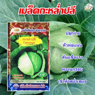 เมล็ดกะหล่ำปลี (Cabbage) เมล็ดพันธุ์ เมล็ดพันธุ์ผัก เมล็ดพันธุ์พืช ผักสวนครัว ตราภูเขาทอง