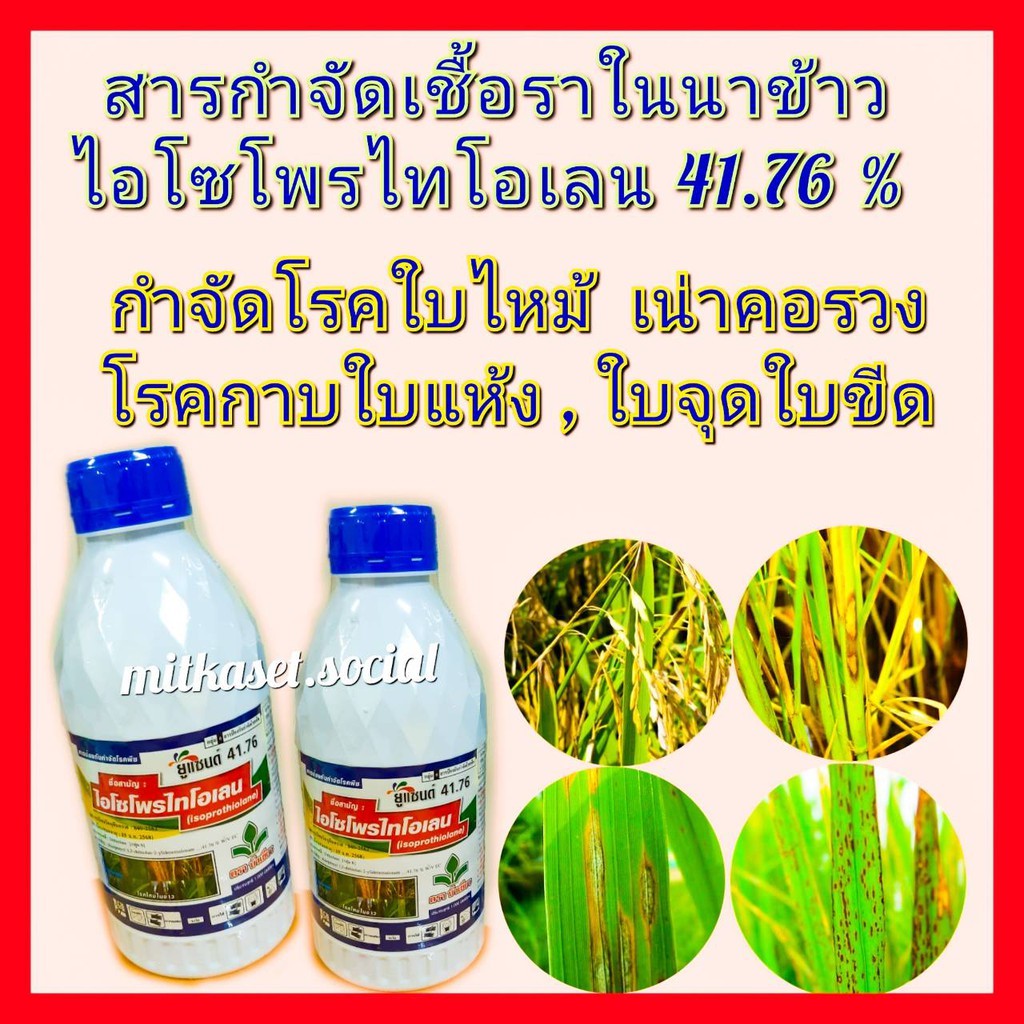 My Image 70
