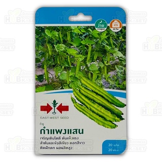 🌱 ศรแดง 🇹🇭 ถั่วพู กำแพงแสน ขนาดบรรจุประมาณ 20 เมล็ด อายุเก็บเกี่ยว 80 วัน