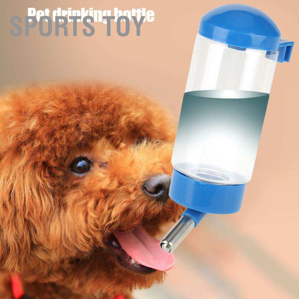 are water bottles safe for dogs