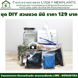 สวนขวด ชุดสวนขวด DIY ไซต์ มินิ พร้อมขวดทรงสี่เหลี่ยม 129฿