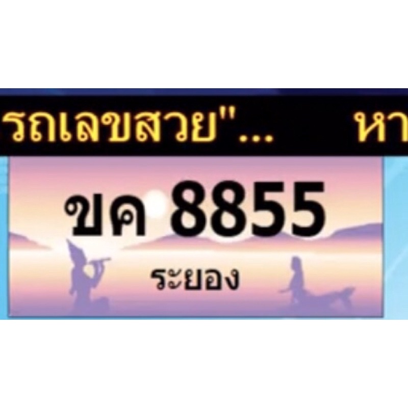 ทะเบียนประมูลกราฟฟิค 8855