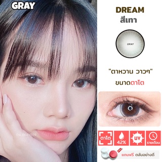 ไม่แถมตลับ Dream Gray (ตาโต) คอนแทคเลนส์ Wink