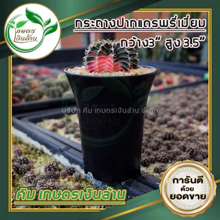 [แตกแคลมทันที]กระถางปากแตร 3,4,5 นิ้ว พรีเมี่ยม สวย ทน(งานไทย เงาสวย ไม่กรอบ) By.คิม เกษตรเงินล้าน