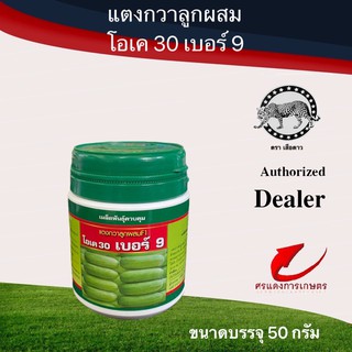 เมล็ดพันธุ์ แตงกวาเทวา29 50g