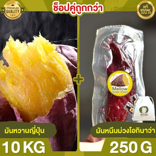 Duo Set ถูกกว่า มันหวานญี่ปุ่น 10kg + มันหนึบม่วง 250g มันหนึบ โอกินาว่า มันญี่ปุ่น มันหวานญี่ปุ่น มันญี่ปุ่นหวาน