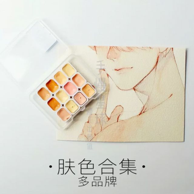 🌟พร้อมส่ง🌟 สีน้ำโทนสีผิวเเบ่งใส่เเพน​ สีเนื้อ​ สีผิว​ 12​ สี​​ สีน้ำ​ Shinhan, Winsor, Van Gogh, Hol