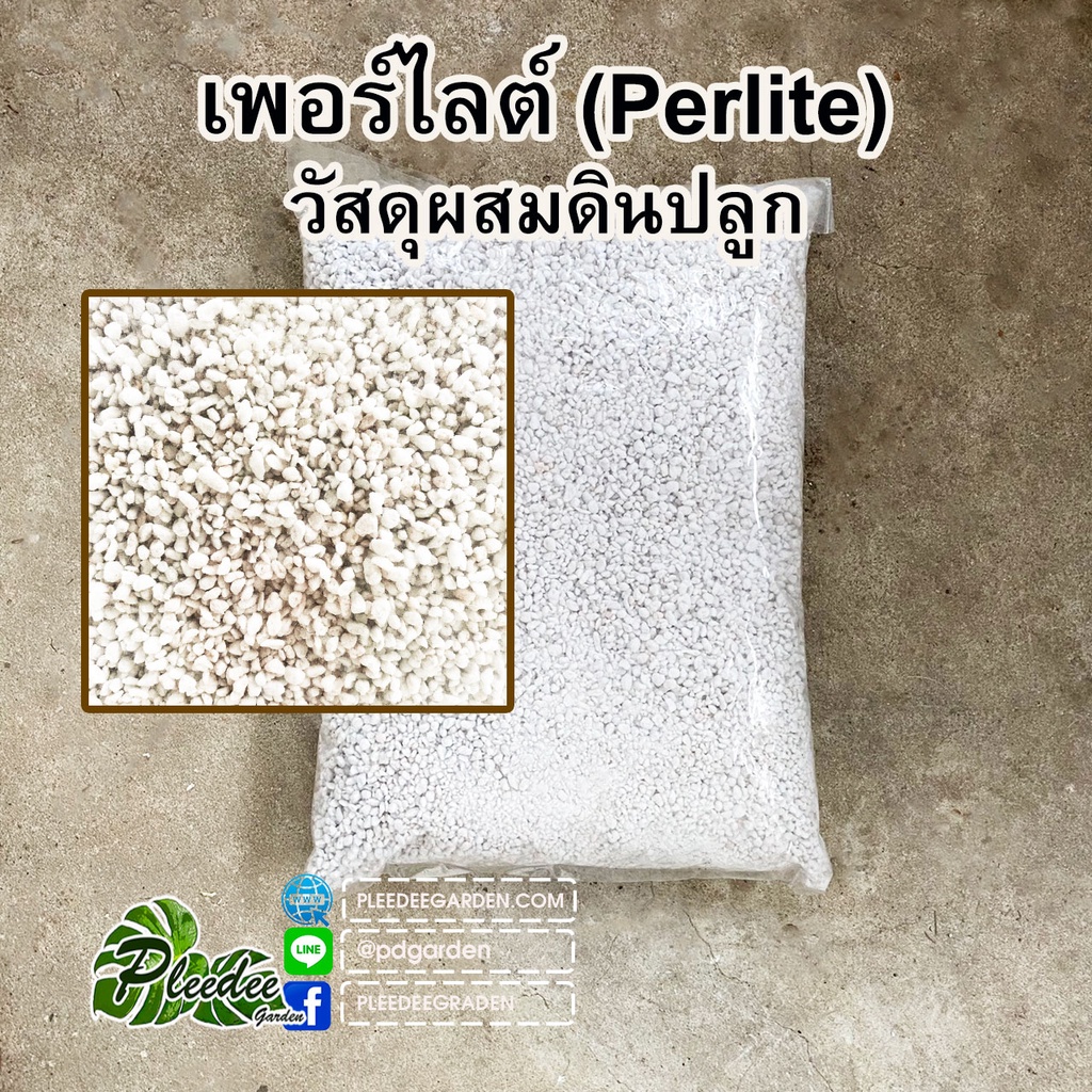 เพอร์ไลต์ (Perlite)วัสดุผสมดินปลูก
