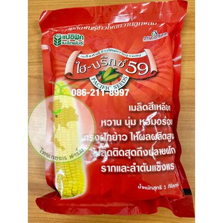 ข้าวโพดหวานไฮ-บริกซ์ 59 💥ล้อคล่าสุด ฝักใหญ่อร่อยมาก🌽