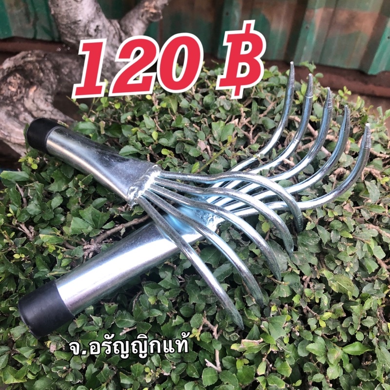 มือแมว คราดเล็ก ตะกาว ทำสวน ต่อด้ามยาวได้ *รุ่นใหม่ไม่มีจุกท้าย แต่เหล็กแข็งกว่าเดิม* มีดอรัญญิก จ้อย อรัญญิกแท้