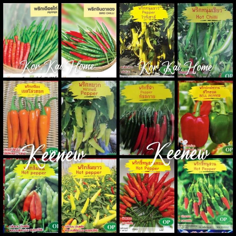 รวมเมล็ดพริก 12 ชนิด พร้อมส่ง ตราภูเขาทอง