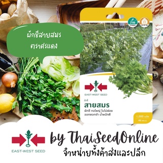 GGEW เมล็ดพันธุ์ซฟ ผักชีสายสมร 1000เมล็ด ตราศรแดง Coriander