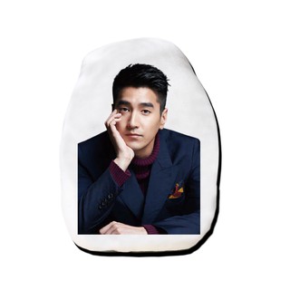 หมอนไดคัท สั่งทำ ตุ๊กตา ตุ๊กตาหน้าเหมือน หมอนตุ๊กตา เจ้าโย่วถิง Mark Chao เยี่ยหัว สามชาติสามภพป่าท้อสิบหลี่