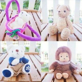 Teddy Bear for Sale💕