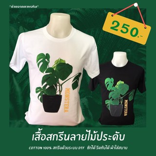 เสื้อ Monstera ไม้ประดับ สุดฮิต