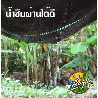พลาสติกคลุมวัชพืช ผ้าคลุมหญ้า พลาสติกเกรดส่งออก ผสมUV ฆ่าหญ้า เห็นผลไวถายใน 1เดือน อยุ่ทนกว่า 3-5 ปี