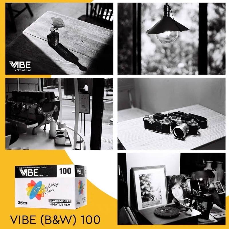 ฟิล์มขาวดำ VIBE 36exp