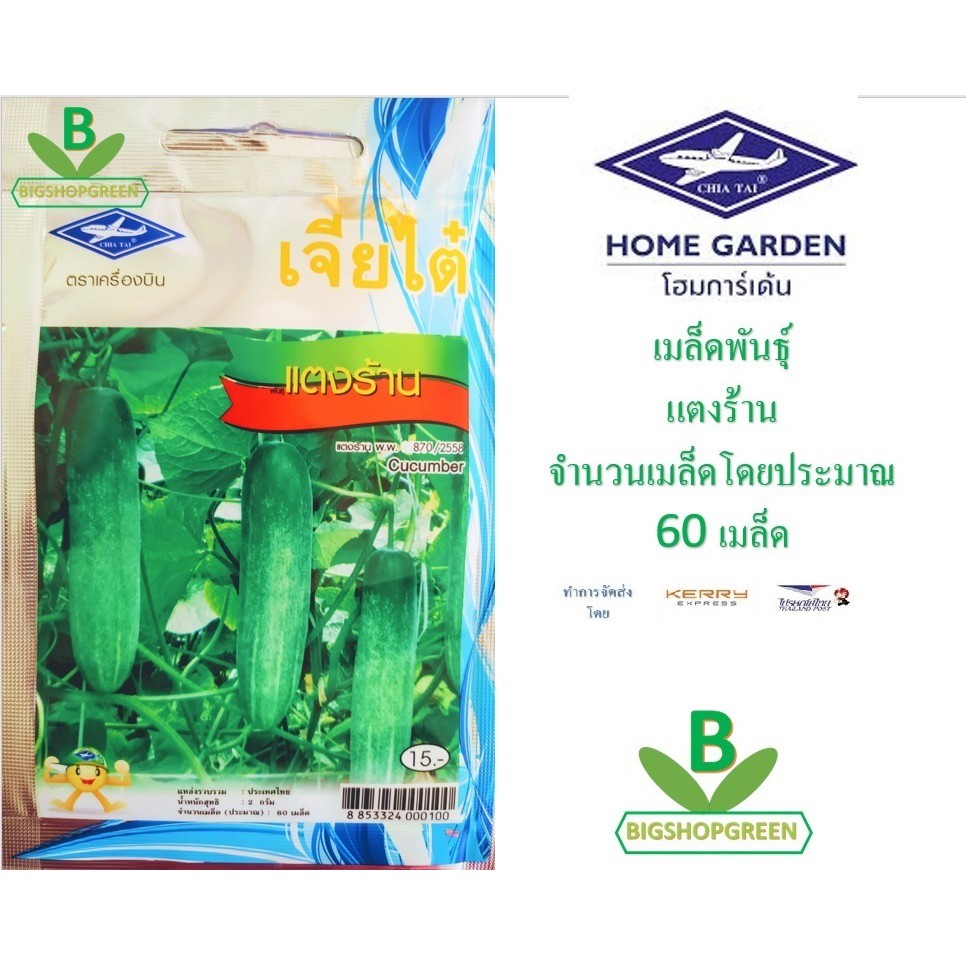5 ฟรี 1 คละได้ เมล็ดพันธุ์ แตงร้าน Cucumber เจียไต๋ เมล็ดผัก เมล็ดพันธุ์พืช เมล็ดพืช เมล็ดพันธุ์ผัก