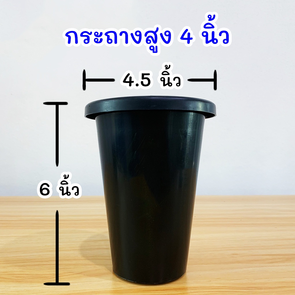 ใบละ 7 บาท กระถาง 4 นิ้ว สีดำ กระถางพลาสติก กระถางต้นไม้ แคคตัส