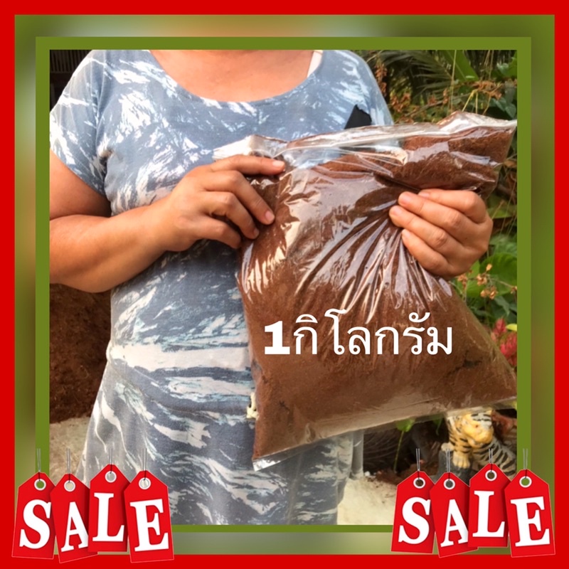 ขุยมะพร้าว 1 กิโลกรัม พร้อมส่ง ราคา ถูกที่สุด ดีลบีเคเค