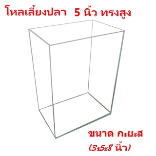 โหลเลี้ยงปลา ทรงสูง 3x5x8 นิ้ว กระจกหนา 3 มิล