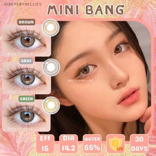 🔥 คอนแทคเลนส์ ✨ขนาดมินิ✨ Mini Bang (kittykawaii) Brown/Gray/Green
