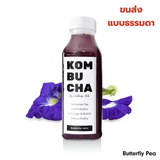 [ อัญชัน ] Premium Kombucha คอมบูชา คอมบูชะ คอมบูฉะ คอมบุชะ กอมบูชา ชาหมัก น้ำชาหมัก คีโต Keto Butterfly Pea Tea