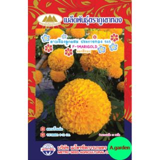 เมล็ดพันธุ์ดอกดาวเรือง พันธุ์ 545  แพ็ค​ 10​ ซอง