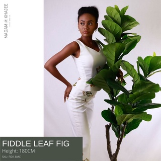 Fiddle leaf tree ต้นไทรใบสัก 180 CM ต้นไม้ปลอมเกรดพรีเมี่ยม มาดามขจี ตกแต่งบ้าน  Premium Artificial Plant