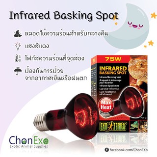 (พร้อมส่ง)Exoterra หลอดไฟเลี้ยงสัตว์ Infrared Basking Spot ( 50w , 75w , 100w ) (หลอดไฟให้ความร้อนสำหรับกลางคืน)