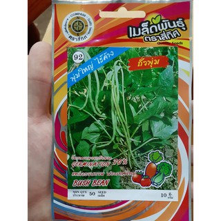 เมล็ดถั่วพุ่ม 4 ทิศ ถั่วพุ่ม (10 แถม 1)คละได้ เมล็ดผัก เมล็ดพันธุ์ ตรา สี่ทิศ 4ทิศ