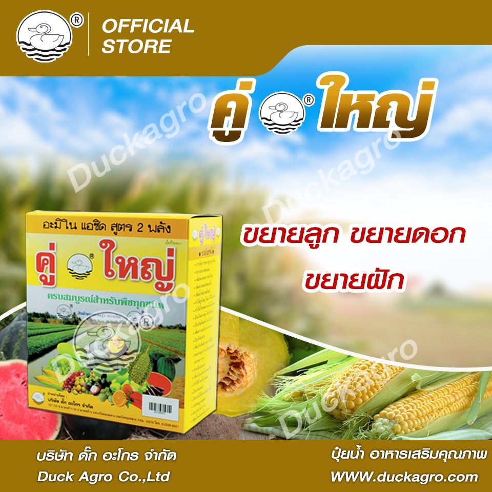 ปุ๋ยน้ำ คู่ใหญ่ ตราเป็ด ขยายลูก ขยายดอก ขยายฝัก ทำให้ผลใหญ่ น้ำหนักดี ขนาดบรรจุ 500+500cc