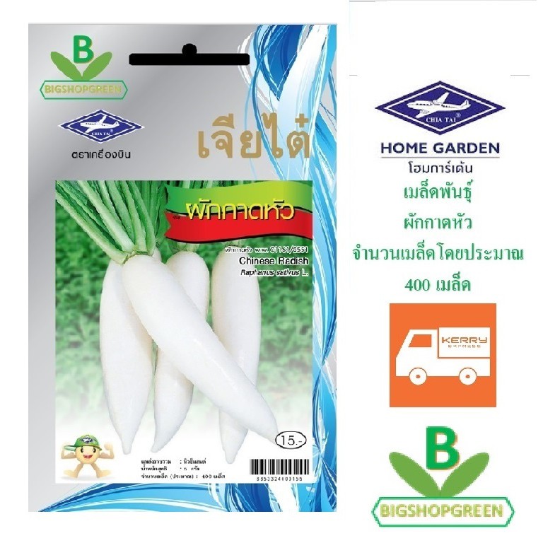 5 ฟรี 1 คละได้ เมล็ดพันธุ์ ผักกาดหัว ตรา เจียไต๋ เมล็ดผัก เมล็ดพันธุ์พืช เมล็ดพืช เมล็ดพันธุ์ผัก เมล็ดผักสวนครัว