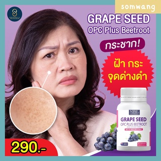 ส่งฟรี 🍒 3 แถม1 🍒 NBL Grape Seed OPC Plus Beetroot สารสกัดเมล็ดองุ่น ต่อต้านอนุมูลอิสระ ลดภูมิแพ้ ลดฝ้ากระจุดด่างดำ