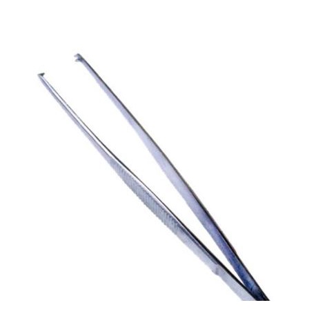 Forcep ปากคีบแบบมีเขี้ยว ขนาด 14.5 ซม. (ปากคีบจับเนื้อเยื่อ,tissue forcep,ปากคีบสแตนเลส)
