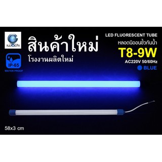 IWACHI หลอดนีออนสี ขั้วกันน้ำ รุ่นใหม่ LED T8 9W สีน้ำเงิน