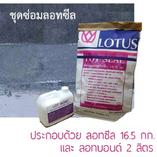 กันซึม ซีเมนต์กันซึม (Lotseal ขนาด 16.5 + น้ำยาประสาน Lotbond 2 ลิตร )