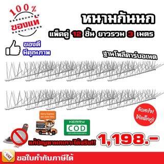 รั้วไล่นก หนามกันนก อุปกรณ์ไล่นก ชนิดปลายตัด 12 ชิ้น ฐาน Polycarbonate , ฐานสแตนเลส ทนทาน ใช้งานได้นาน