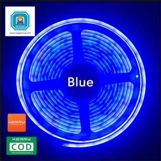 Neon Flexible strip light led 5m. DC 12V