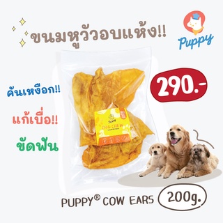 PUPPY COW EARS 100% หูวัวอบแห้งสำหรับสุนัข กัดแทะเล่น แก้เบื่อ แก้เครียด เหมาะกับสุนัขทุกขนาดทุกสายพัมธุ์