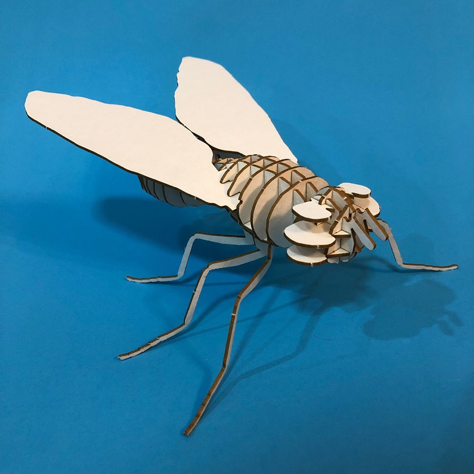 Fly 3D Puzzle