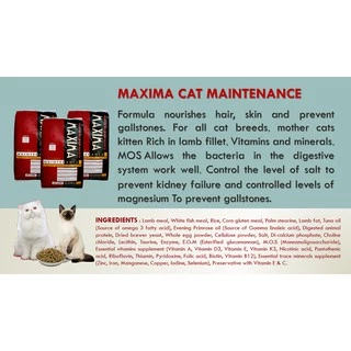 MAXIMA CAT MAINTENANCE 2 KG อาหารสำหรับแมว 2 กก. แถมฟรี อาหารเปียกแมว