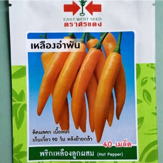 พริกเหลือง ศรแดง 40เมล็ด